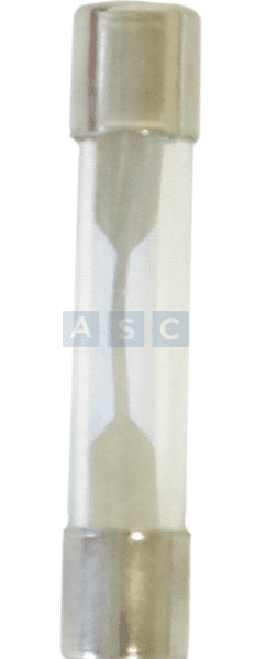 GLASS FUSES 20 AMP PER 100